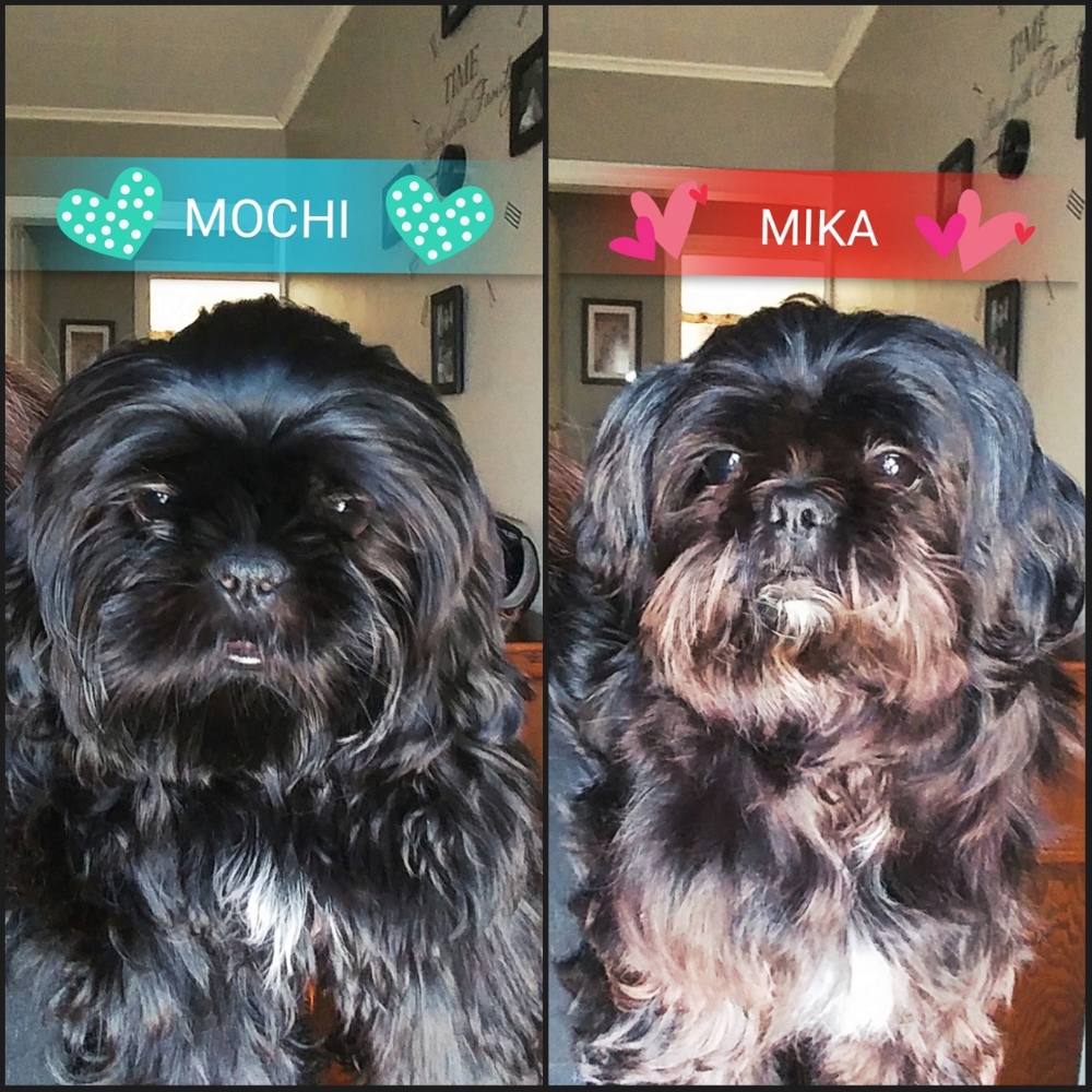 Meet your Poshers Megan and Hector R.